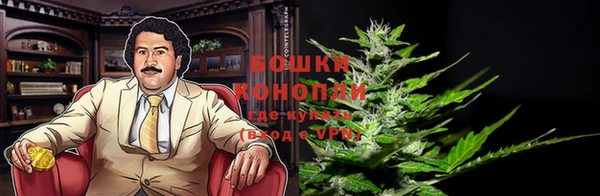 дурь Пролетарск