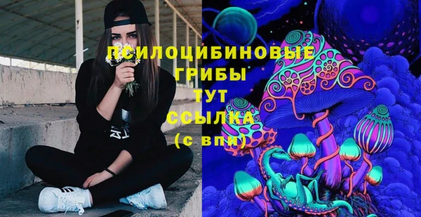 MDMA Premium VHQ Приозерск