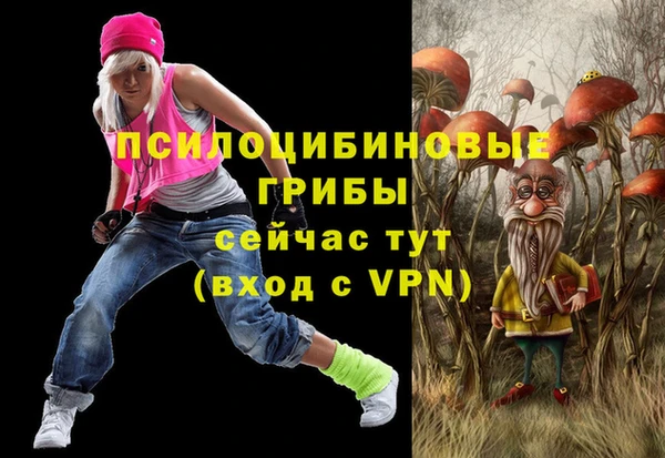 MDMA Premium VHQ Приозерск