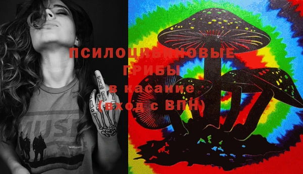хмурый Протвино