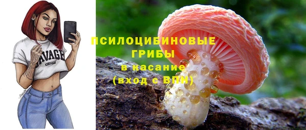 хмурый Протвино