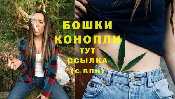 хмурый Протвино