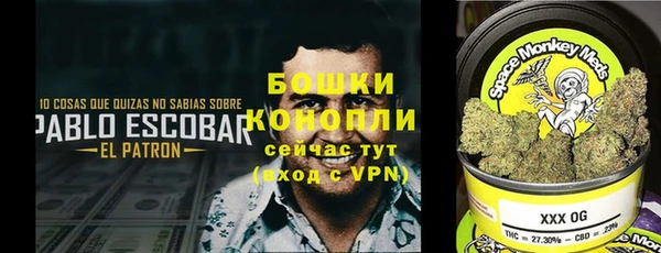 хмурый Протвино