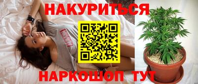 прущие грибы Тара