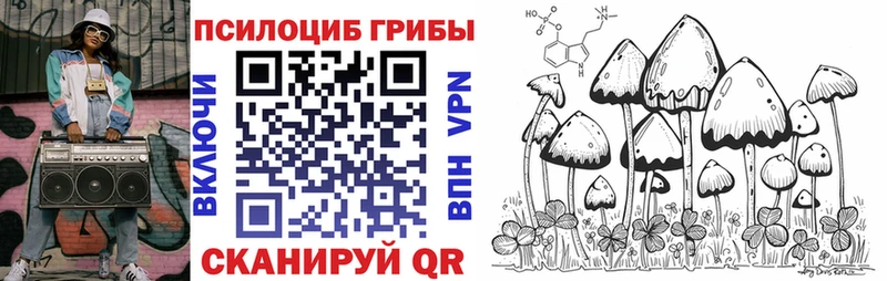 Псилоцибиновые грибы Psilocybe Сибай