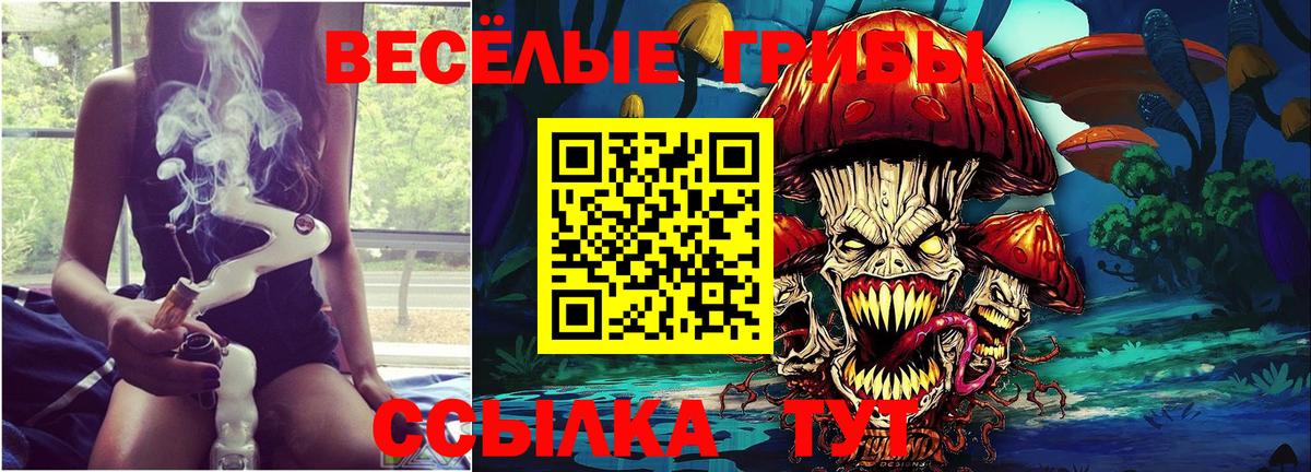 Сибай  Псилоцибиновые грибы мицелий  Вход с VPN 
