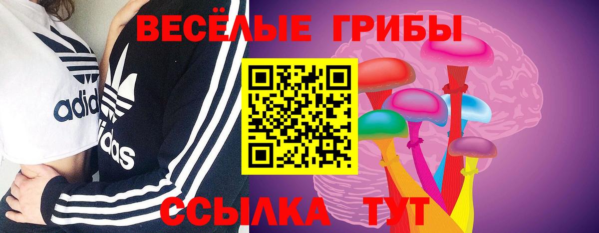 Псилоцибиновые грибы MAGIC MUSHROOMS Сибай